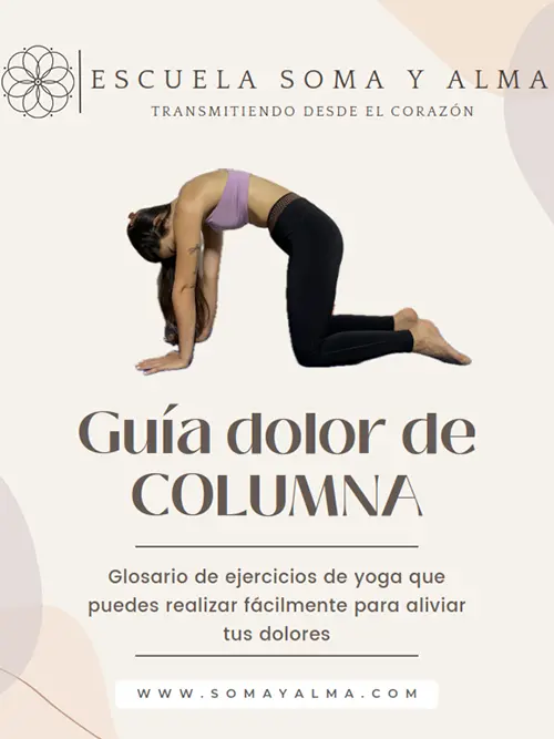 Portada Ebook Dolor de Columna