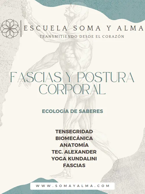 Portada Ebook Fascias y Postura Corporal