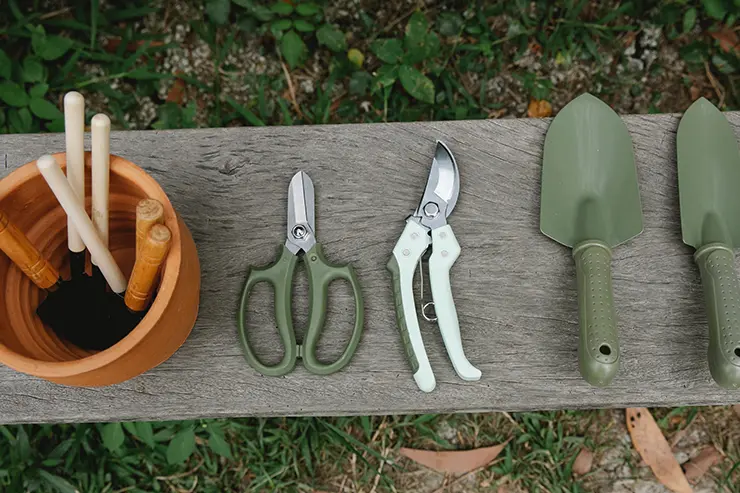 Set de jardinería que incluya distintas herramientas. Se encuentran apoyados sobre una tabla de madera, debajo se visualiza pasto