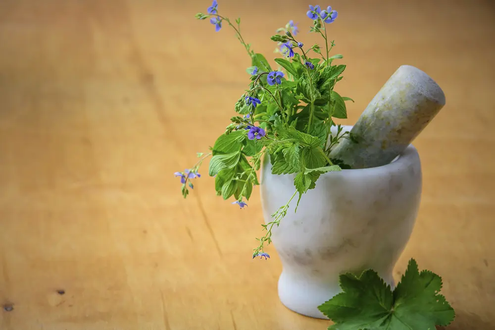 Preparación de medicina natural en un mortero de mármol apoyado sobre una mesa de madera