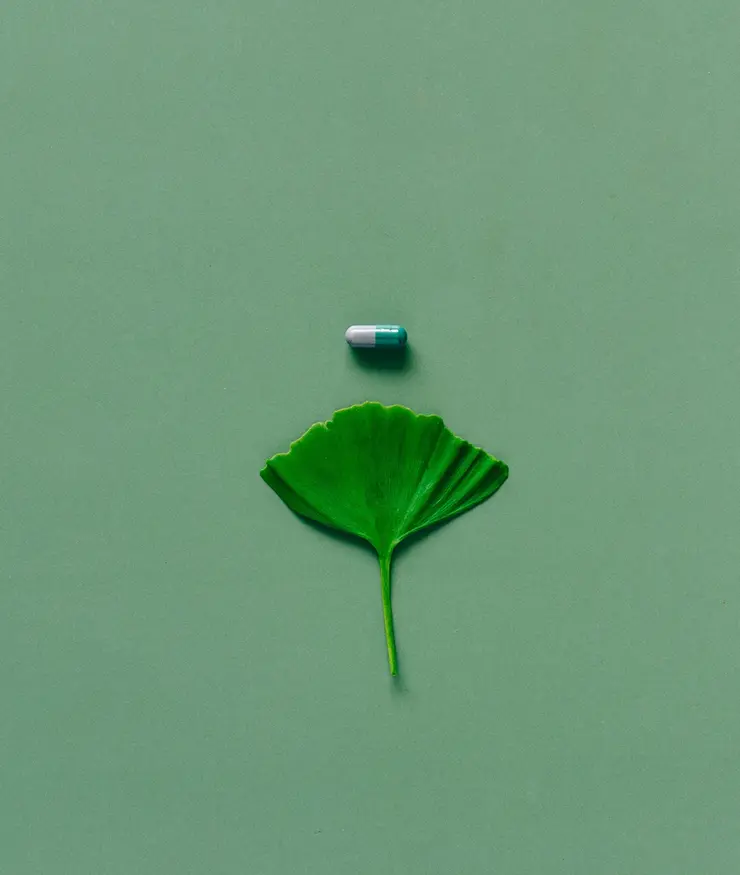 Hoja de una planta medicinal y una pildora de medicina alopática apoyadas sobre una cartulina verde