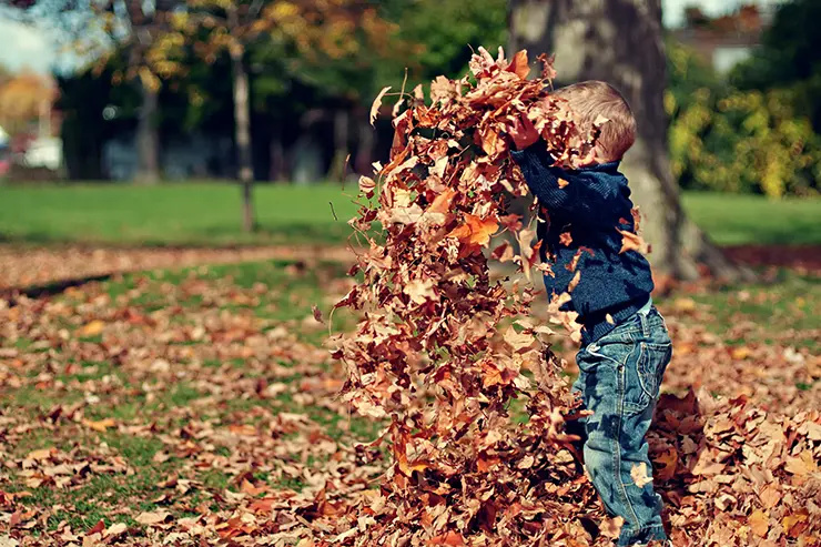 Niño en un parque jugando con hojas secas