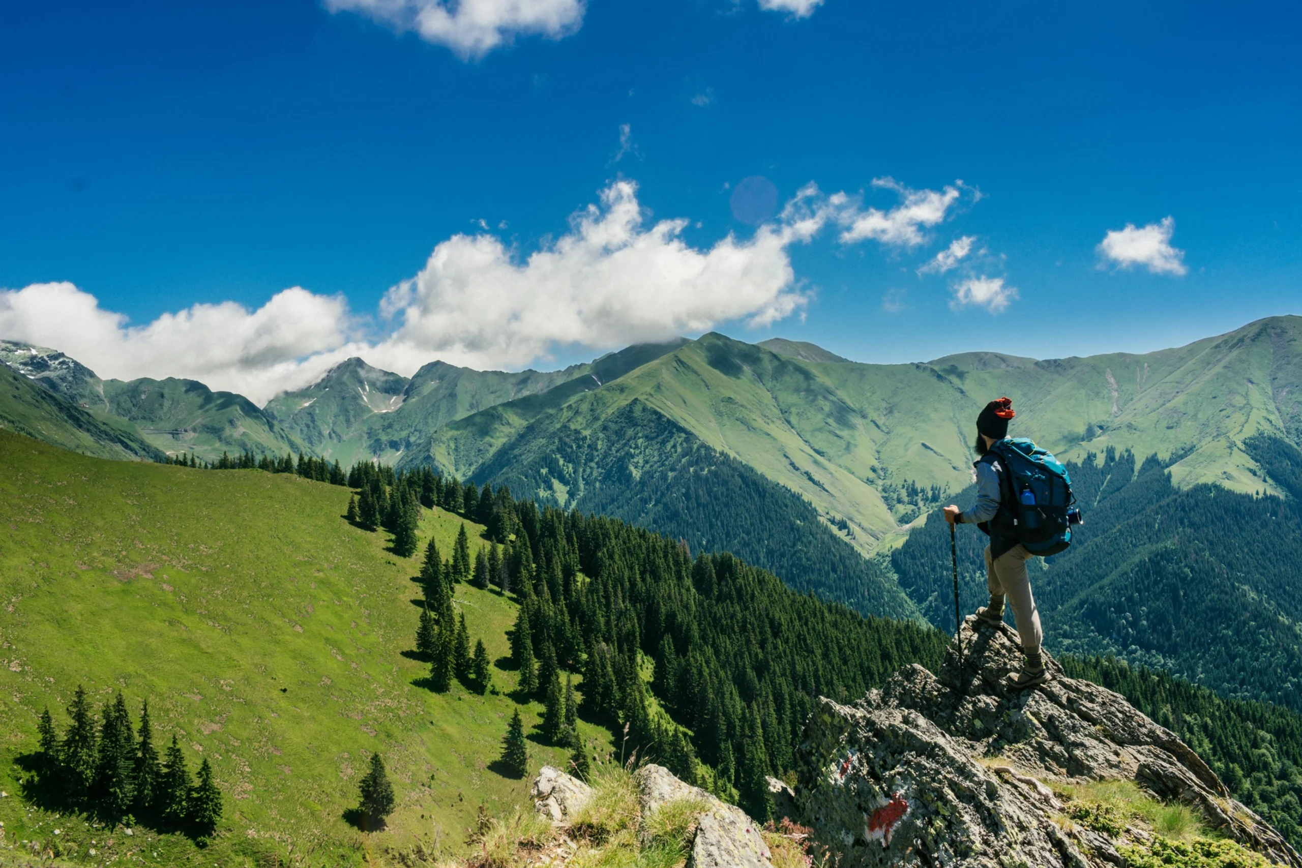 Alpinista caminando por una montaña frondosa