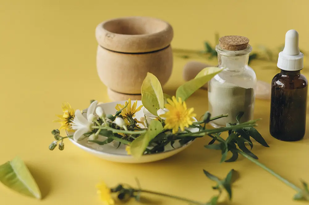 Distintas flores medicinales, un frasco con polvos medicinales y un mortero de madera.