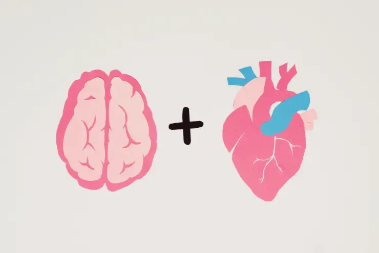 La imagen muestra un cerebro y un corazón, con el símbolo de "sumar", representando la unión entre razón y emociones