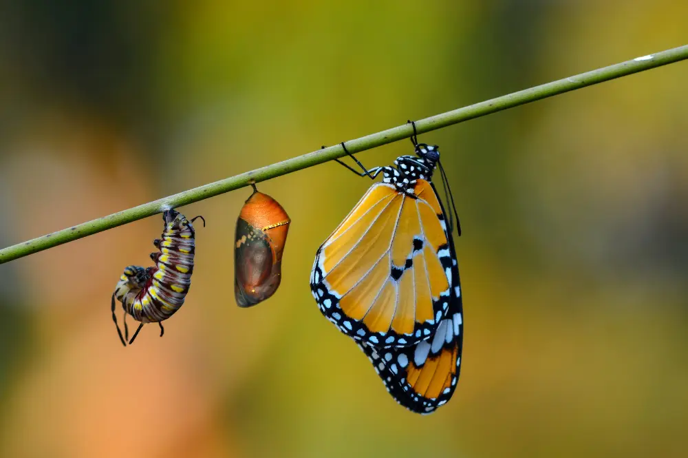 La unica constante, es el cambio