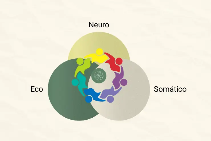 Imagen que representa el Modelo Integrativo Eco Neuro Somático