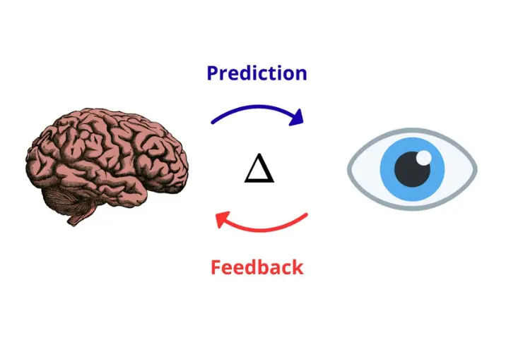 Cerebro predictivo